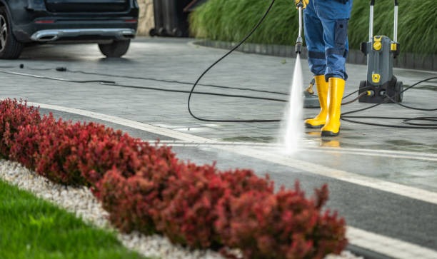 Professional Pressure Washing in Woodbine, GA