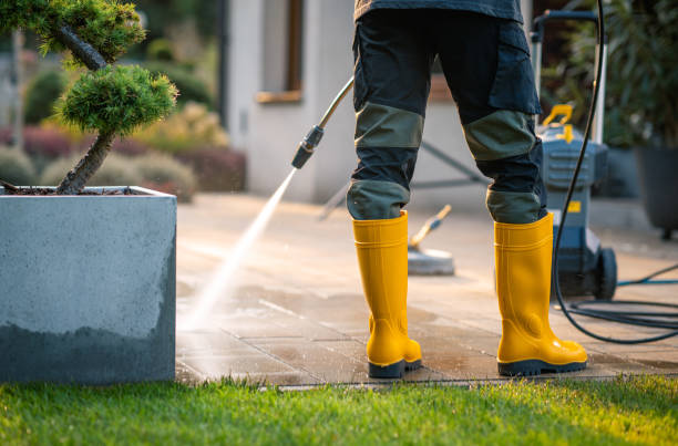 Best Deck Pressure Washing  in Woodbine, GA